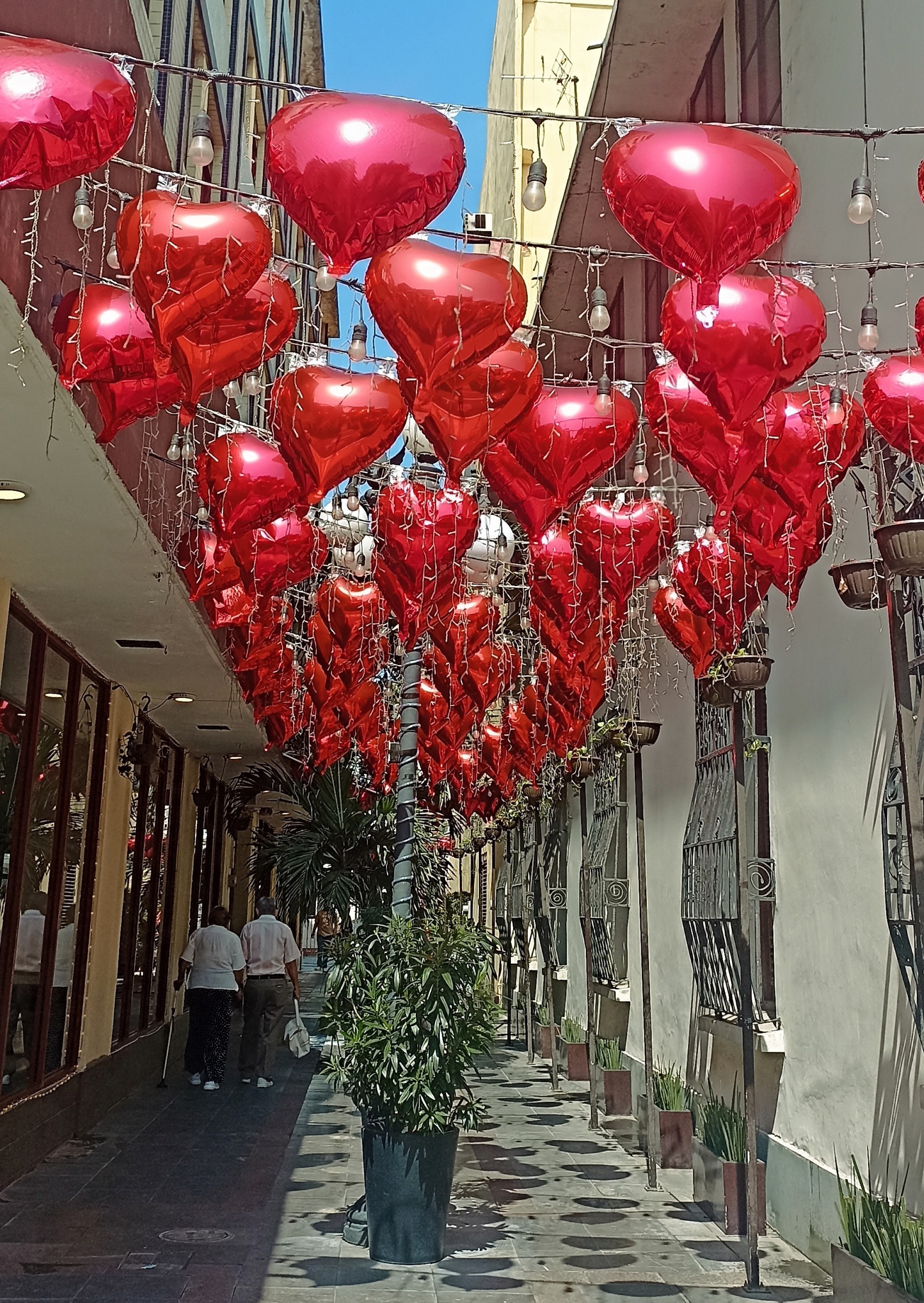 Canirac reporta repunte del 40% en ventas a nivel estatal por el Día del Amor y la Amistad