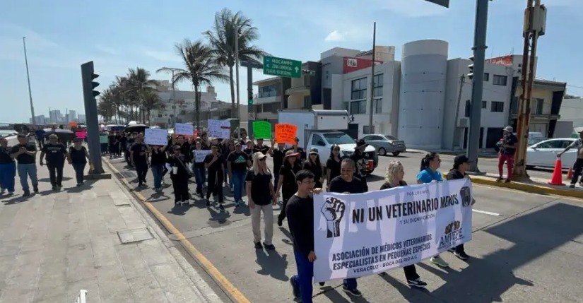 Veterinarios marchan en Veracruz; exigen justicia por Héctor Hernández, asesinado en Edomex