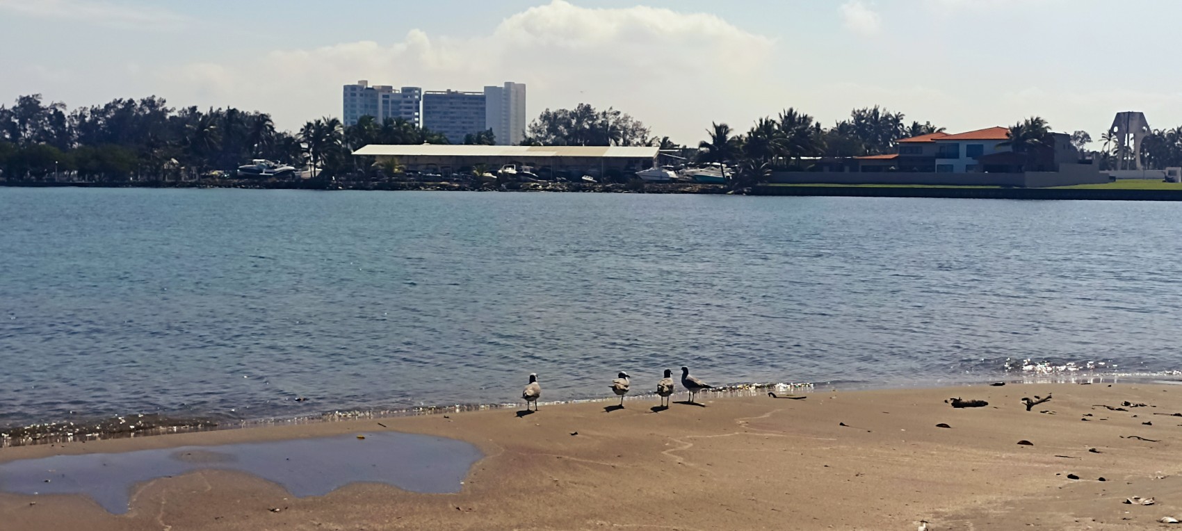 En 2026 iniciará la construcción del puente Boca del Río-La Riviera: Nahle
