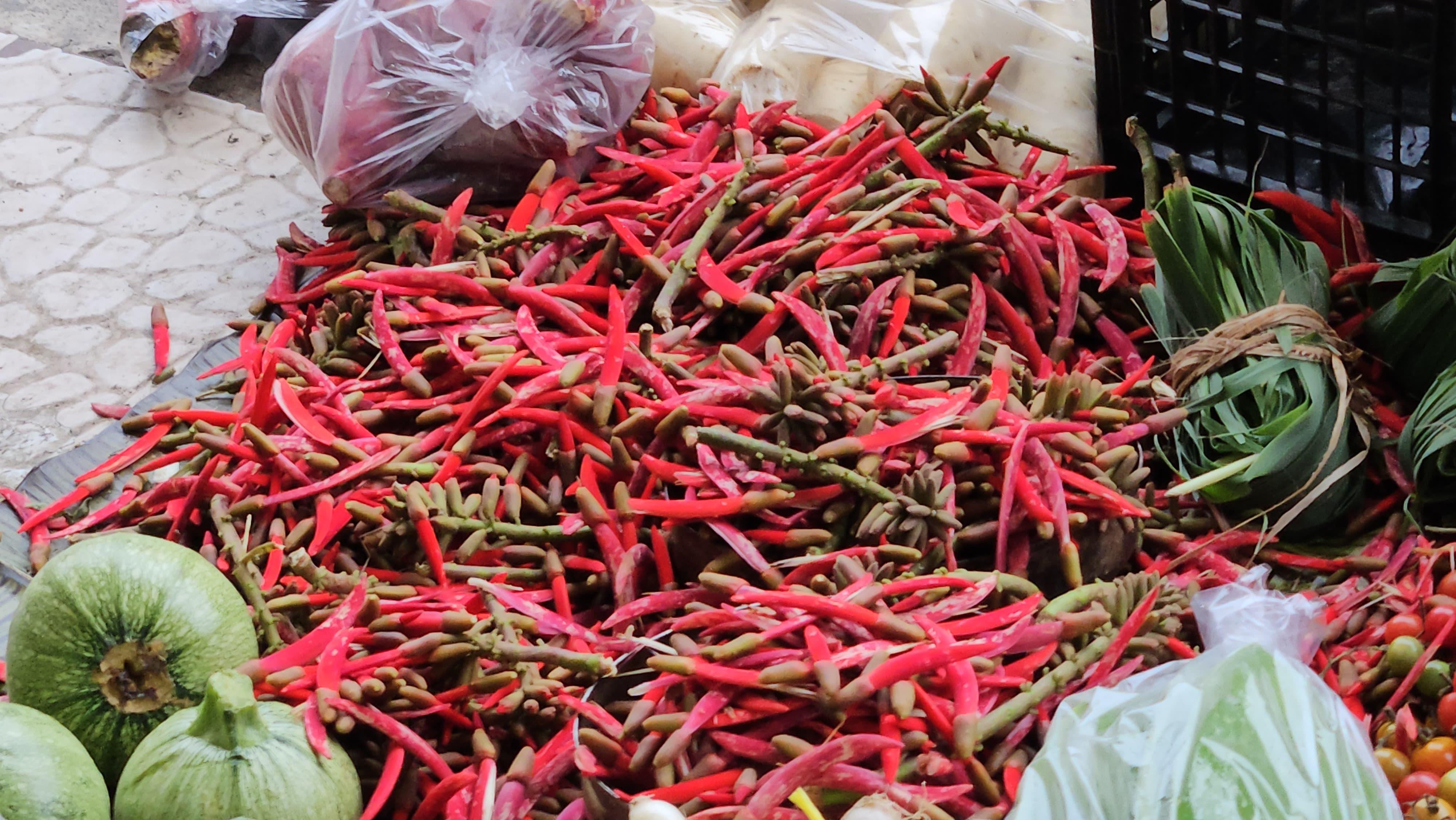 El Pichoco, platillo ancestral de la huasteca veracruzana