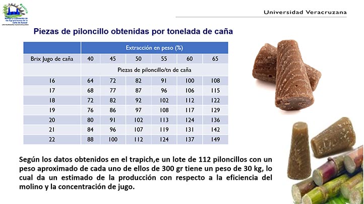 Gran potencial para el piloncillo veracruzano si se mejora método de producción