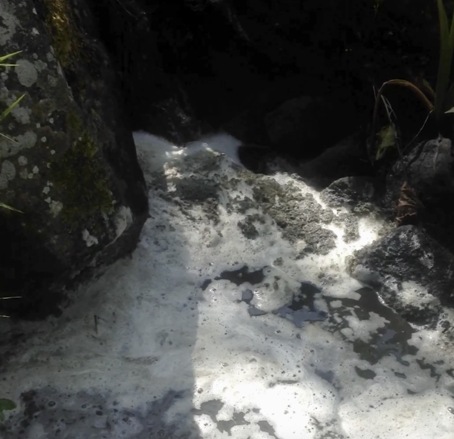 Denuncian contaminación del río Agua Gorda por empresa cafetalera en Alto Lucero