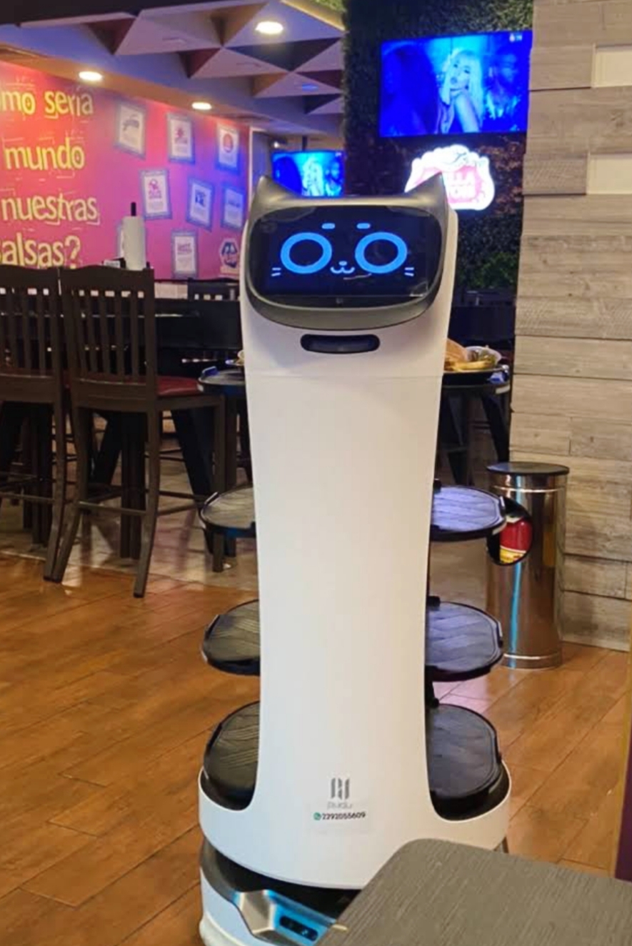 Robots ya operan en restaurantes de la zona conurbada Veracruz-Boca del Río: Canirac