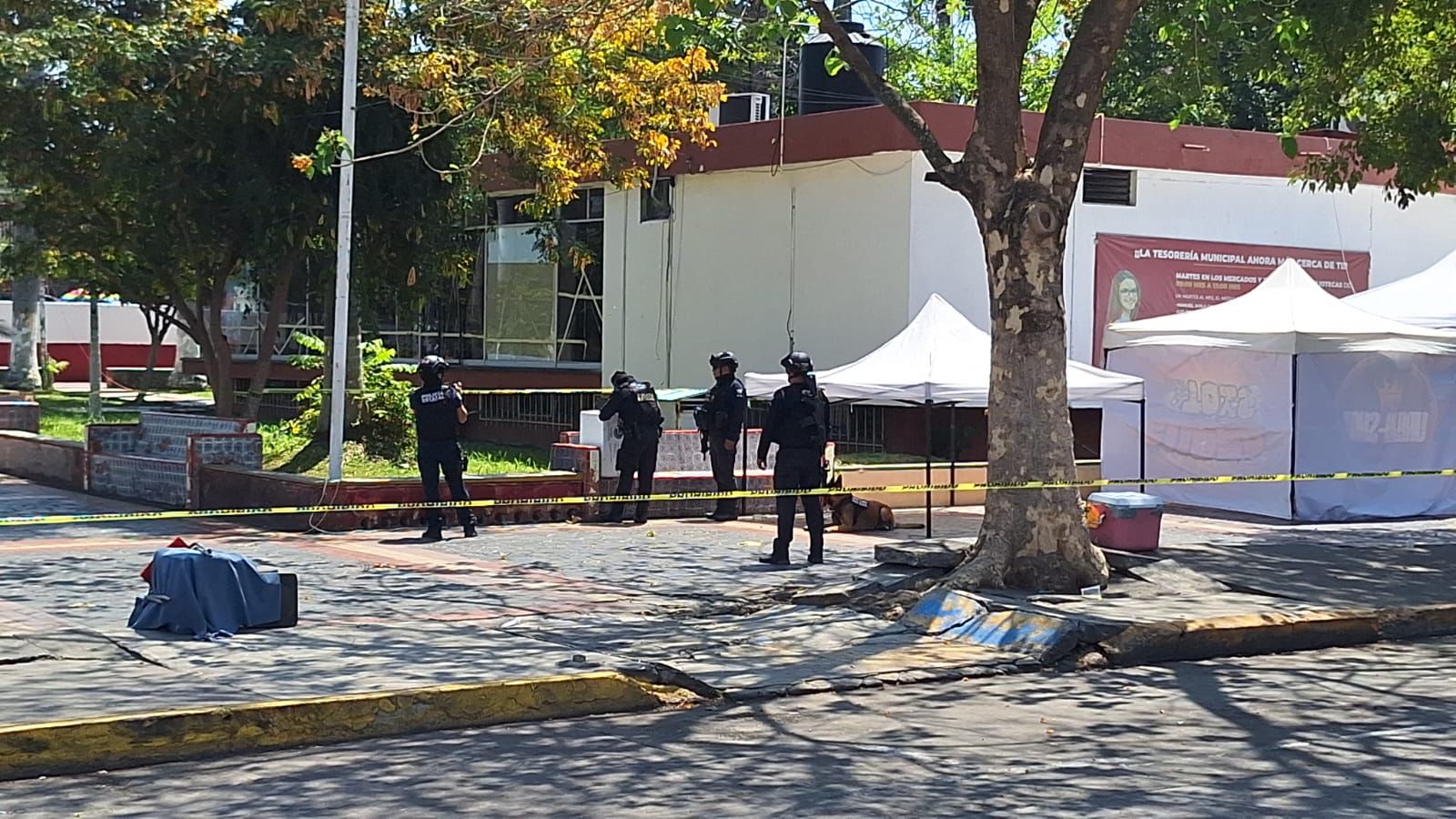 Caja sospechosa genera temor en Poza Rica