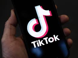 Estas son las 39 cuentas de TikTok que el CJNG usó para reclutar jóvenes en  Teuchitlán, Jalisco.
