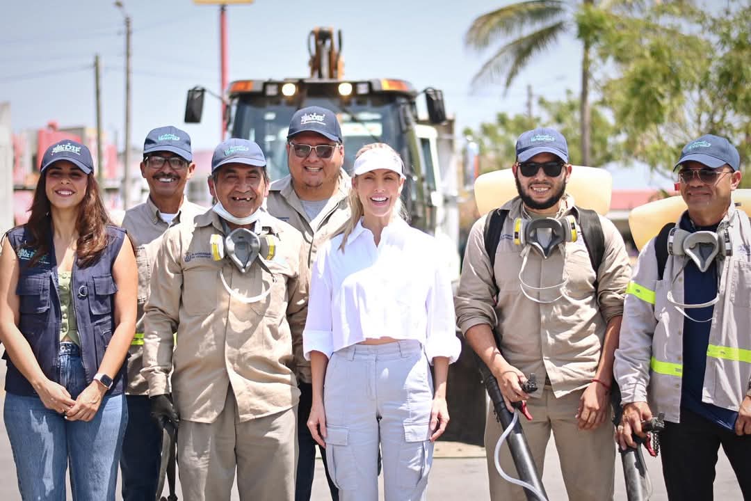 Fumigan 15 colonias y fraccionamientos de Veracruz con mayor incidencia de dengue en este 2025