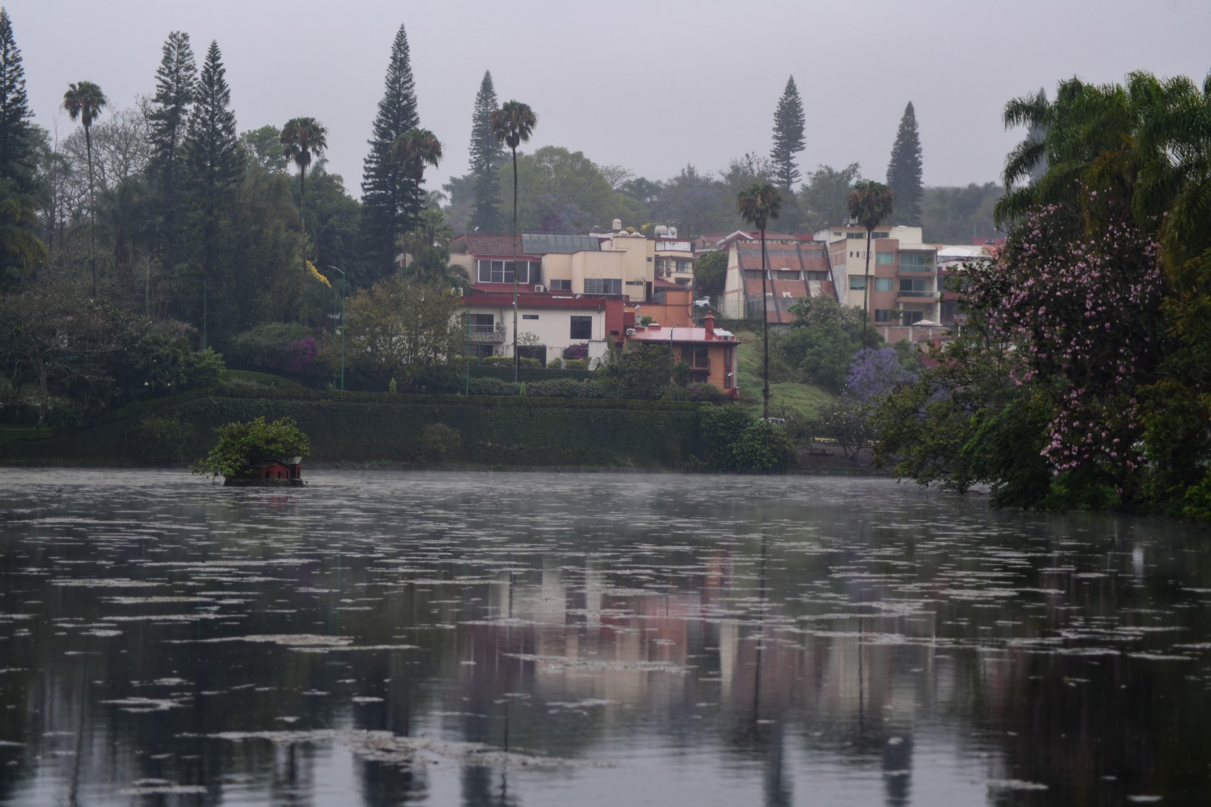 Xalapa invertirá en rehabilitación del Paseo de Los Lagos