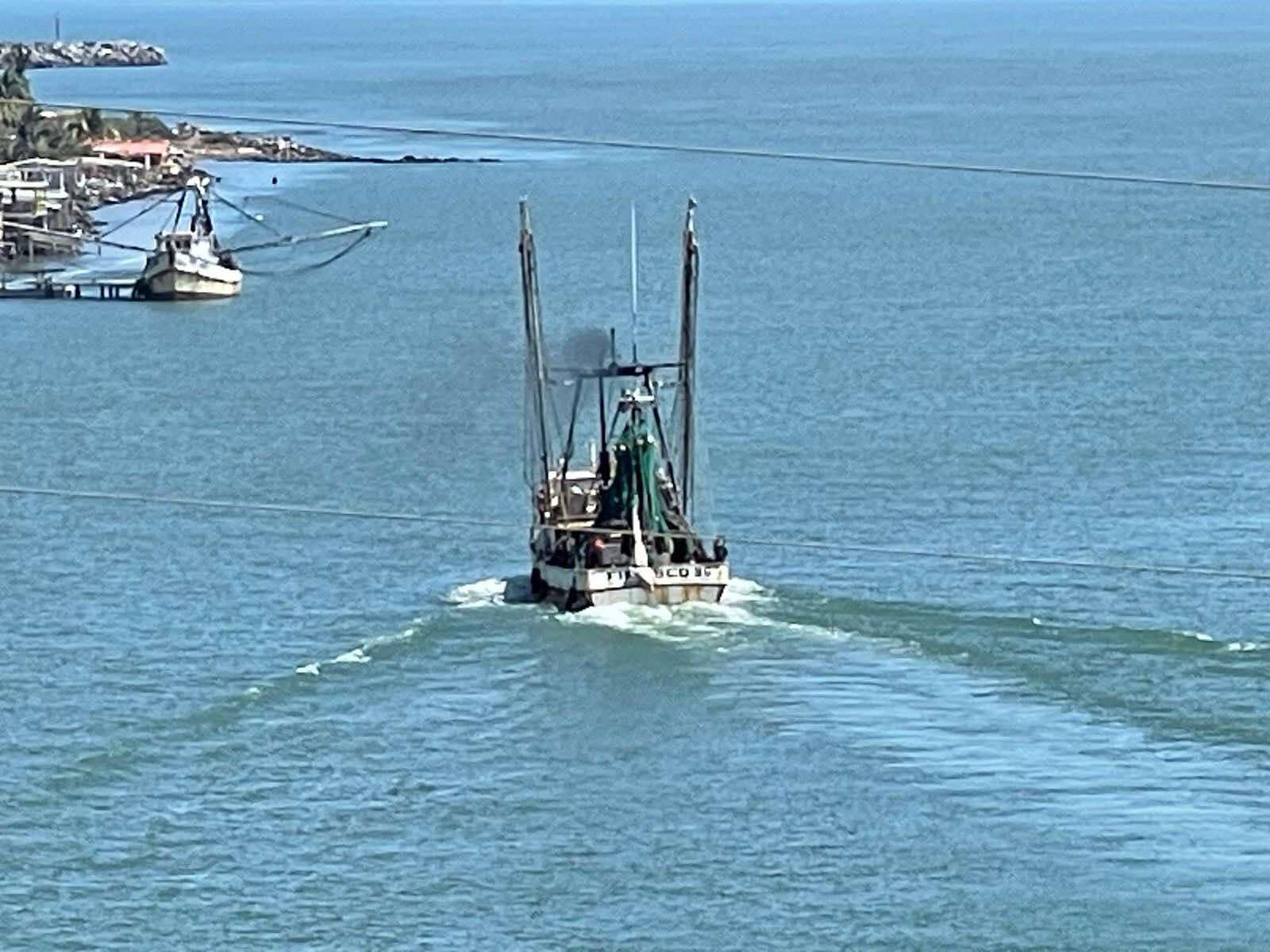 Cancelan proyecto portuario en Alvarado, pero otro avanza en zona Ramsar con trámite vigente ante Semarnat
