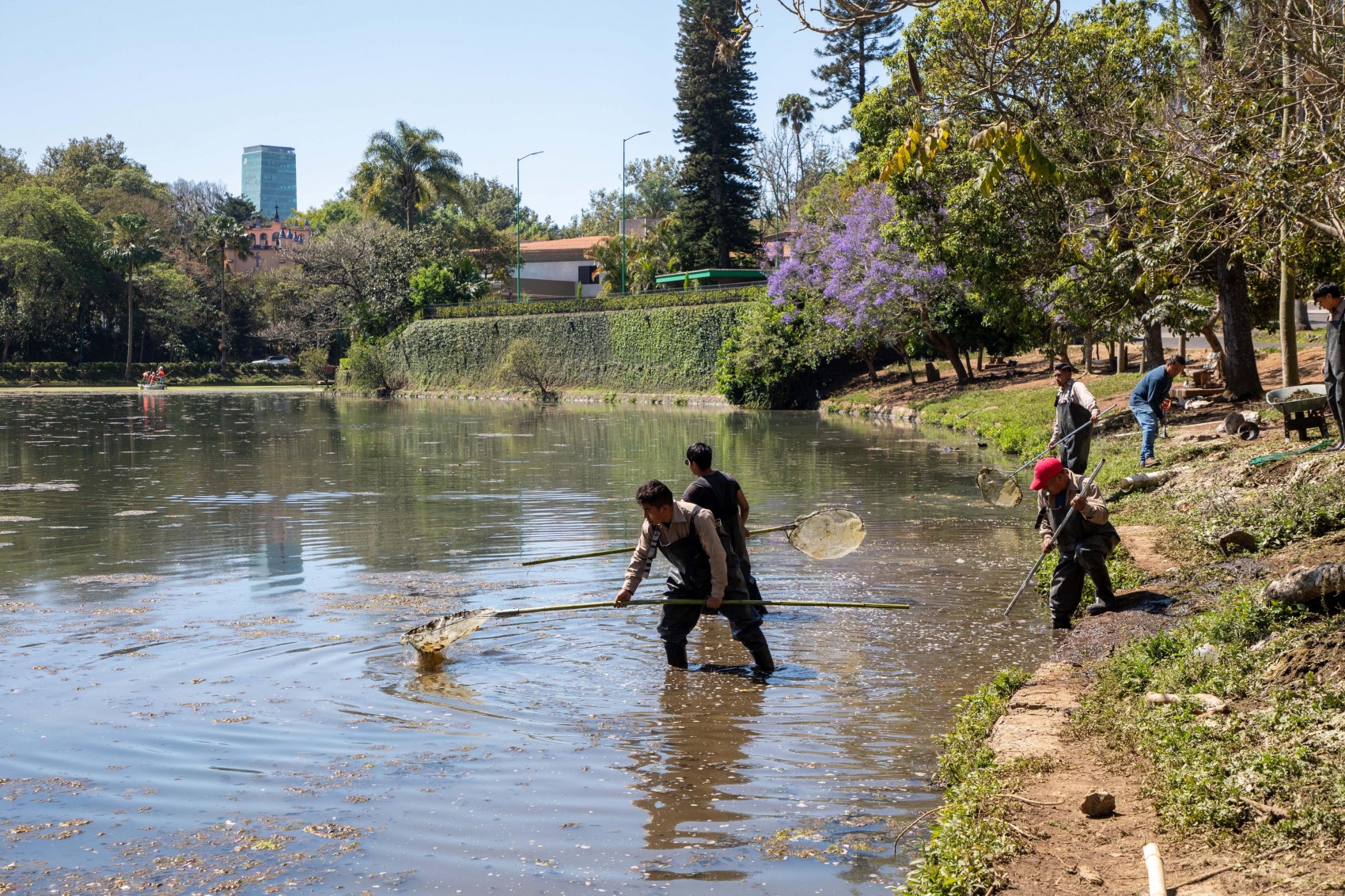 Antes de iniciar remediación de Los Lagos se deben determinar tipos de contaminantes: Sedema
