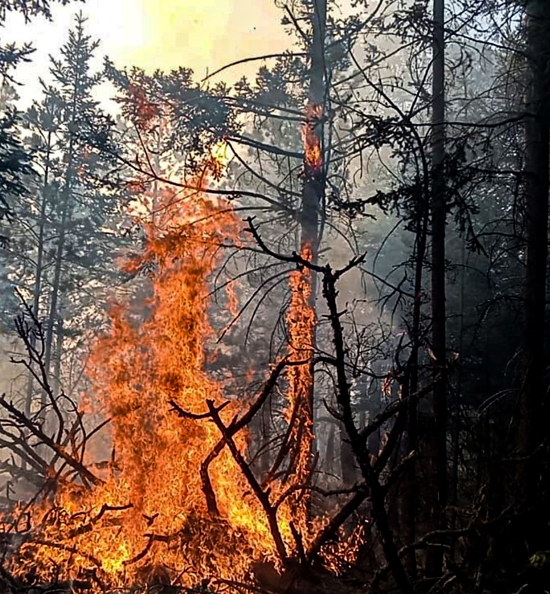 Tercer día de incendios forestales en el Pico de Orizaba