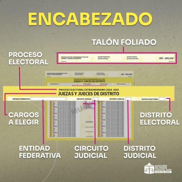 Elección judicial 2025: ¿Qué hacen las y los jueces según su especialidad?