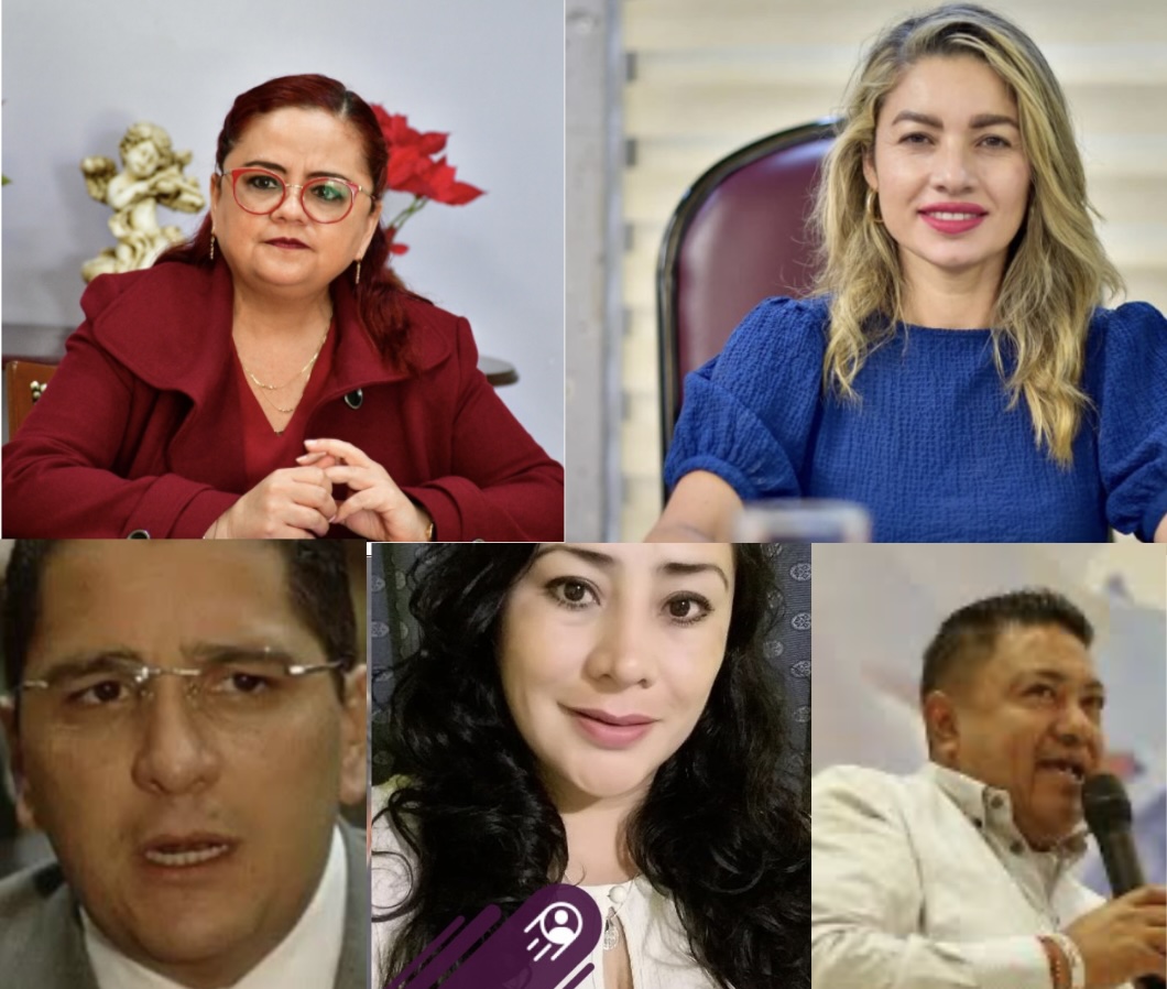 Xalapa: Estos los perfiles que compiten por la presidencia municipal 2025