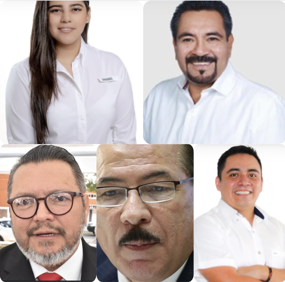 Poza Rica: Los perfiles que aspiran a la presidencia municipal
