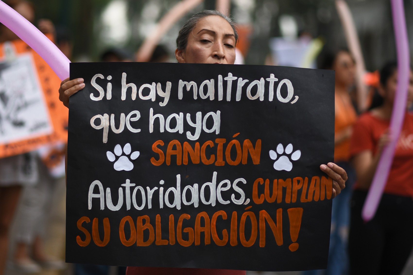 Multas por maltrato animal en Xalapa subirán hasta $101 mil pesos
