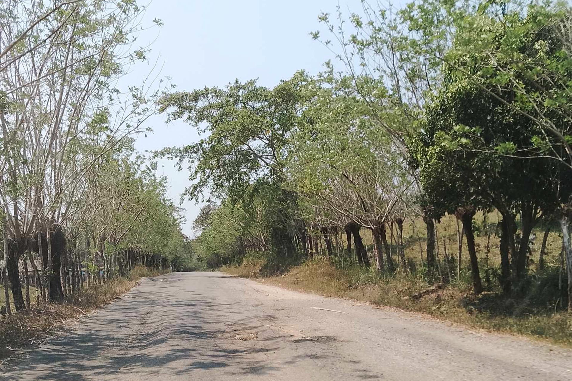 Xalapa — 9 may 2025
