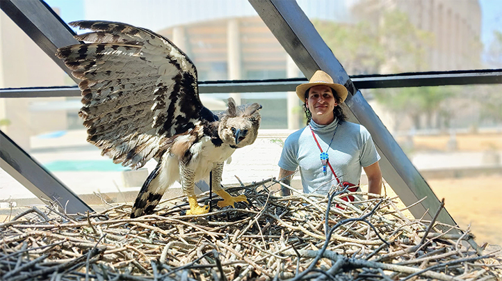 Alumno UV documentó presencia de águila arpía, tras 20 años sin registro