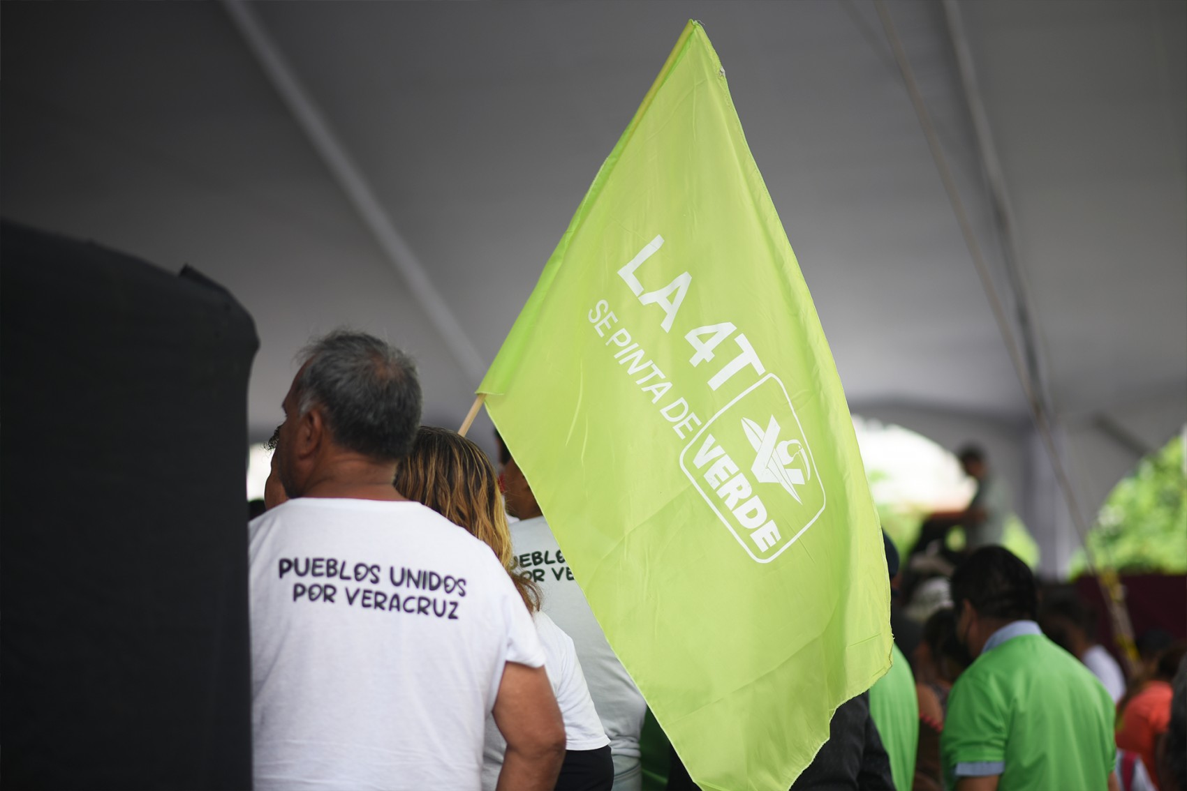 PVEM no descarta ir solo en próximos procesos electorales: Carlos Marcelo Ruiz