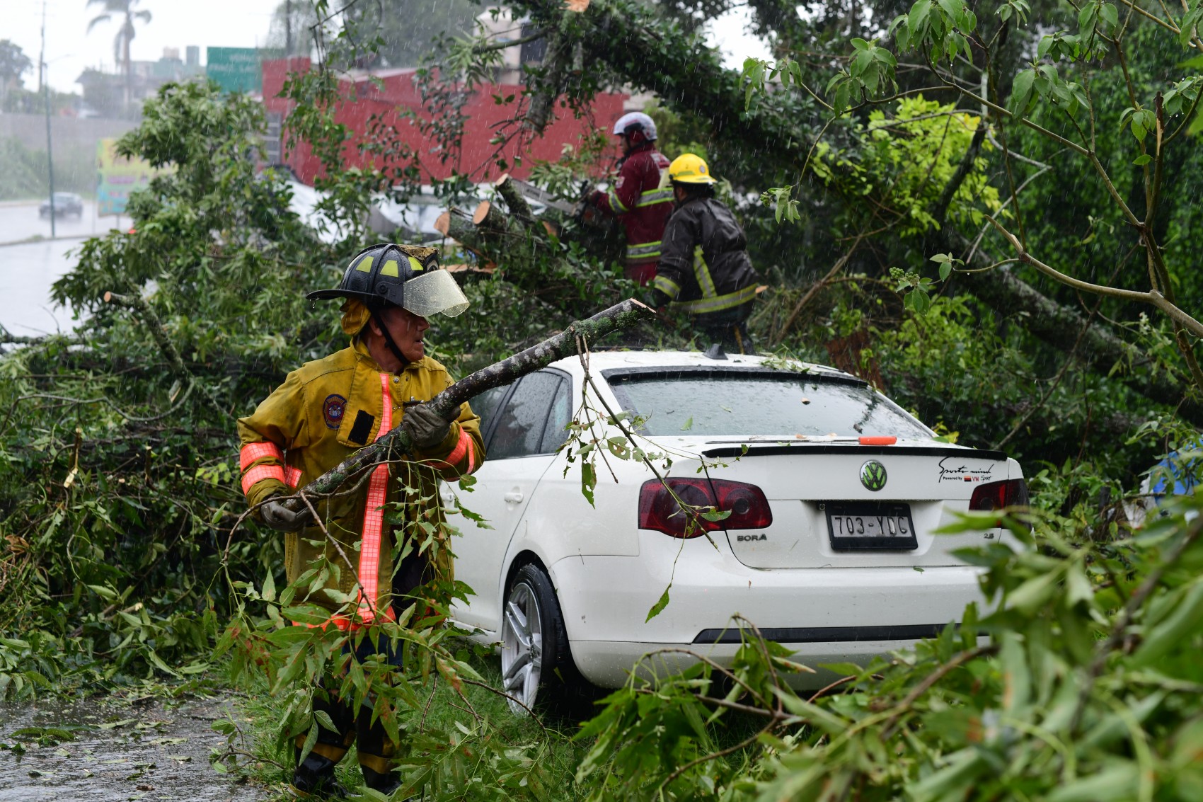 Caen 16 árboles por tormenta en Xalapa; reportan daños materiales y vialidades afectadas