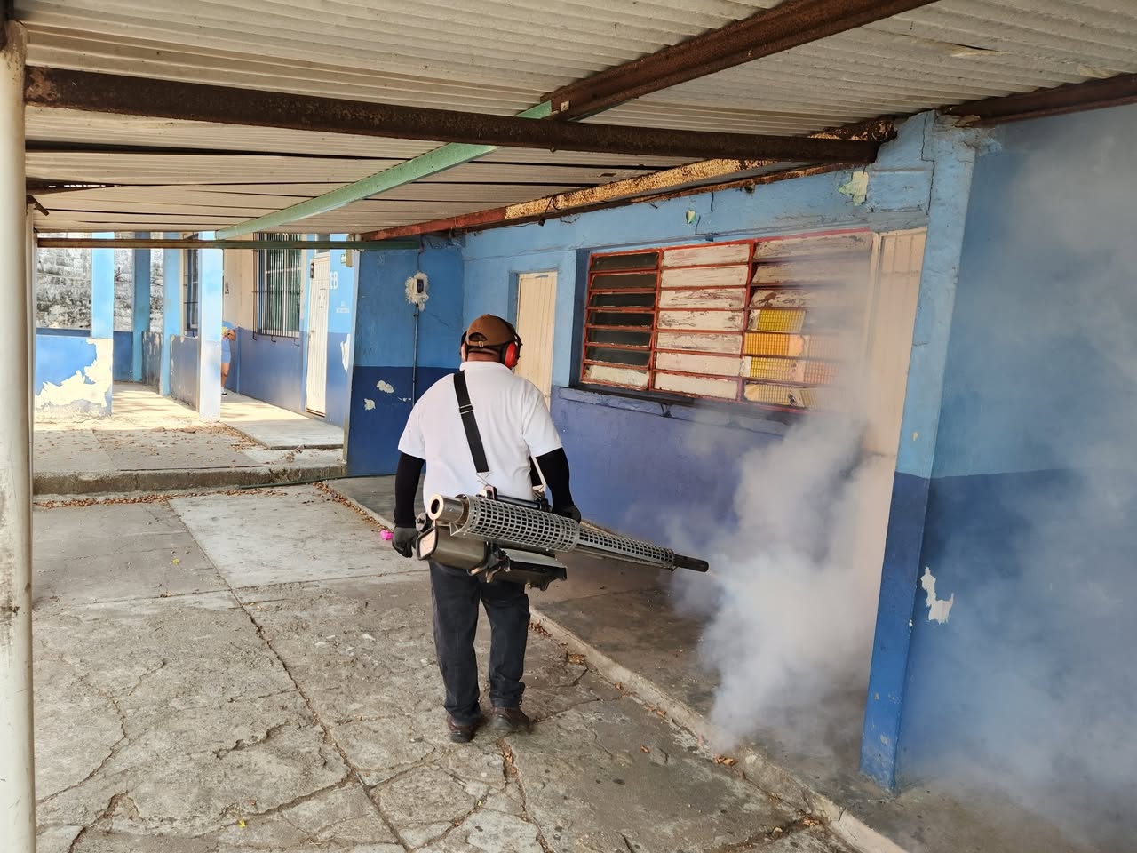 Realiza gobierno acciones de prevención de las enfermedades transmitidas por vector