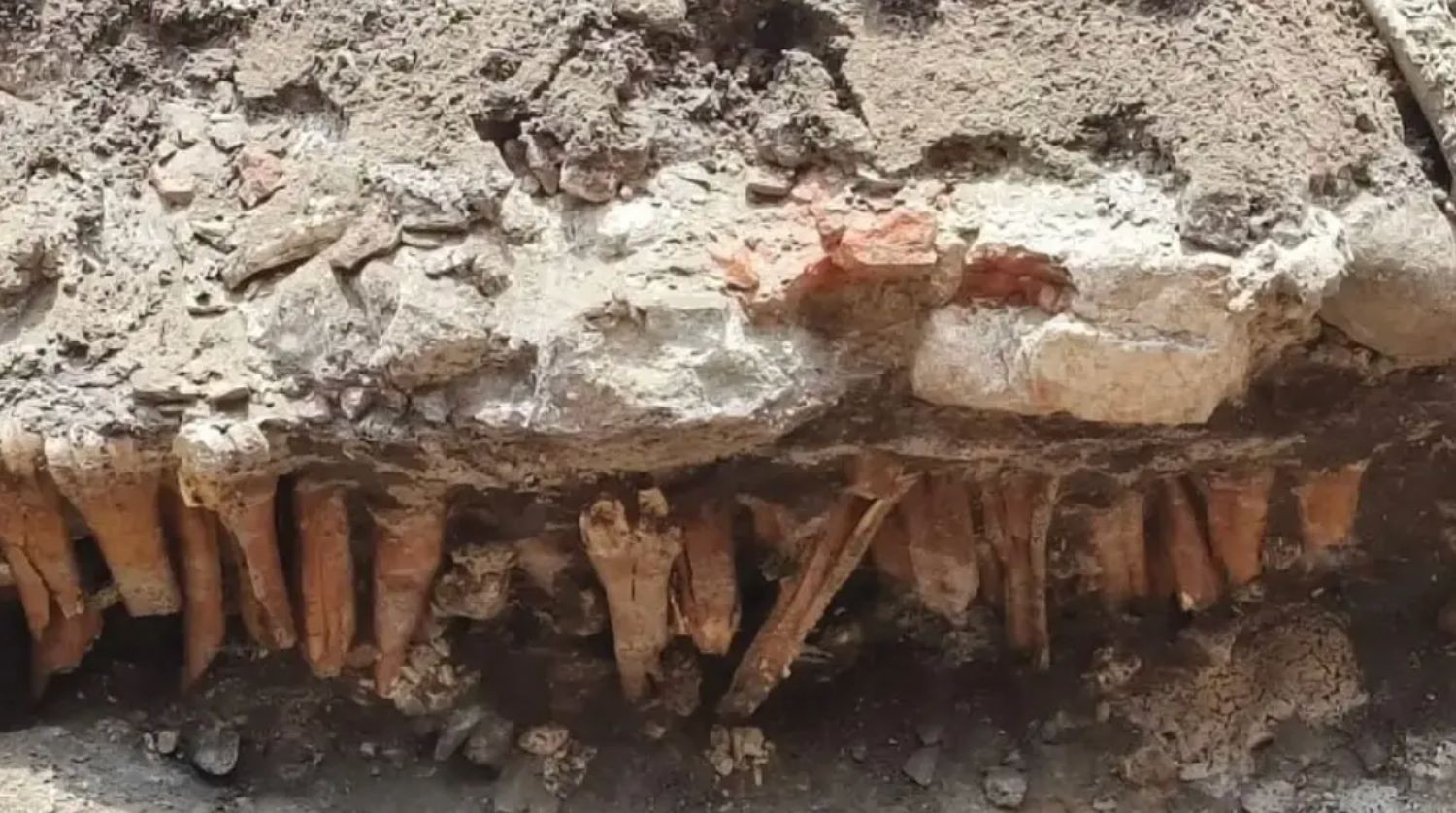 INAH aclara: no se hallaron restos óseos en obras de drenaje en el centro de Veracruz