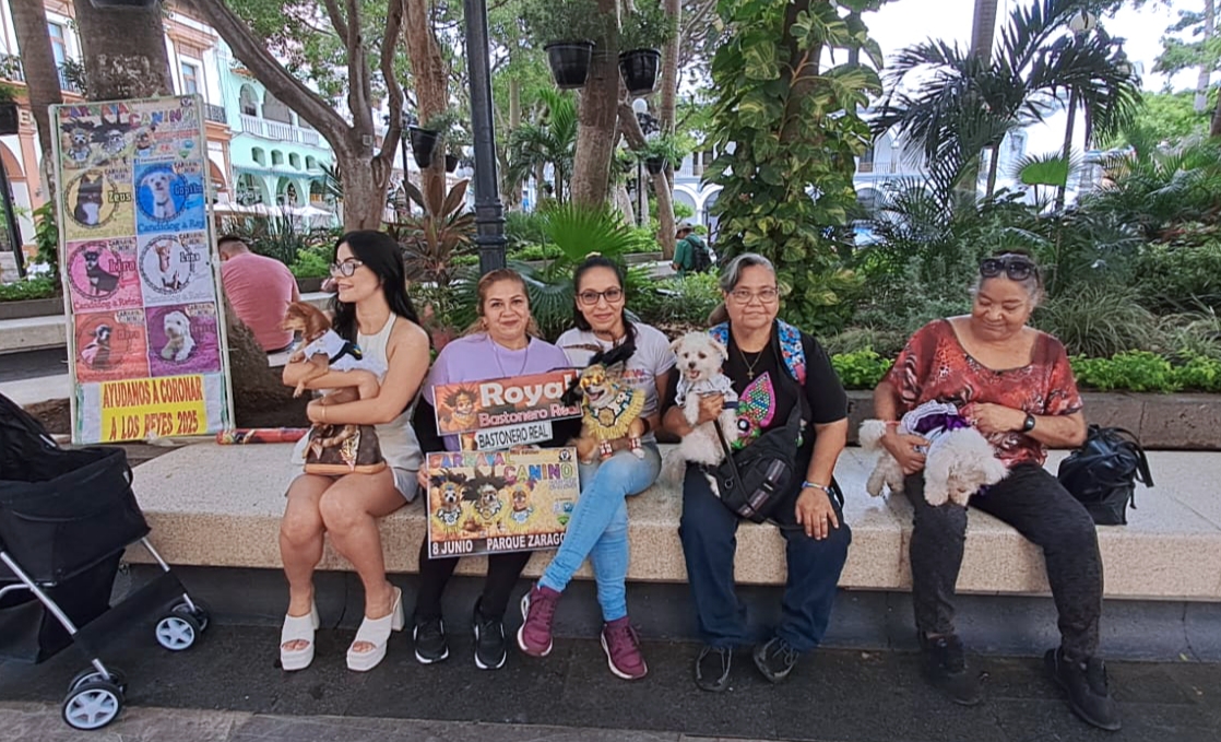 Invitan al Carnaval Canino en apoyo a albergues y asociaciones protectoras de animales