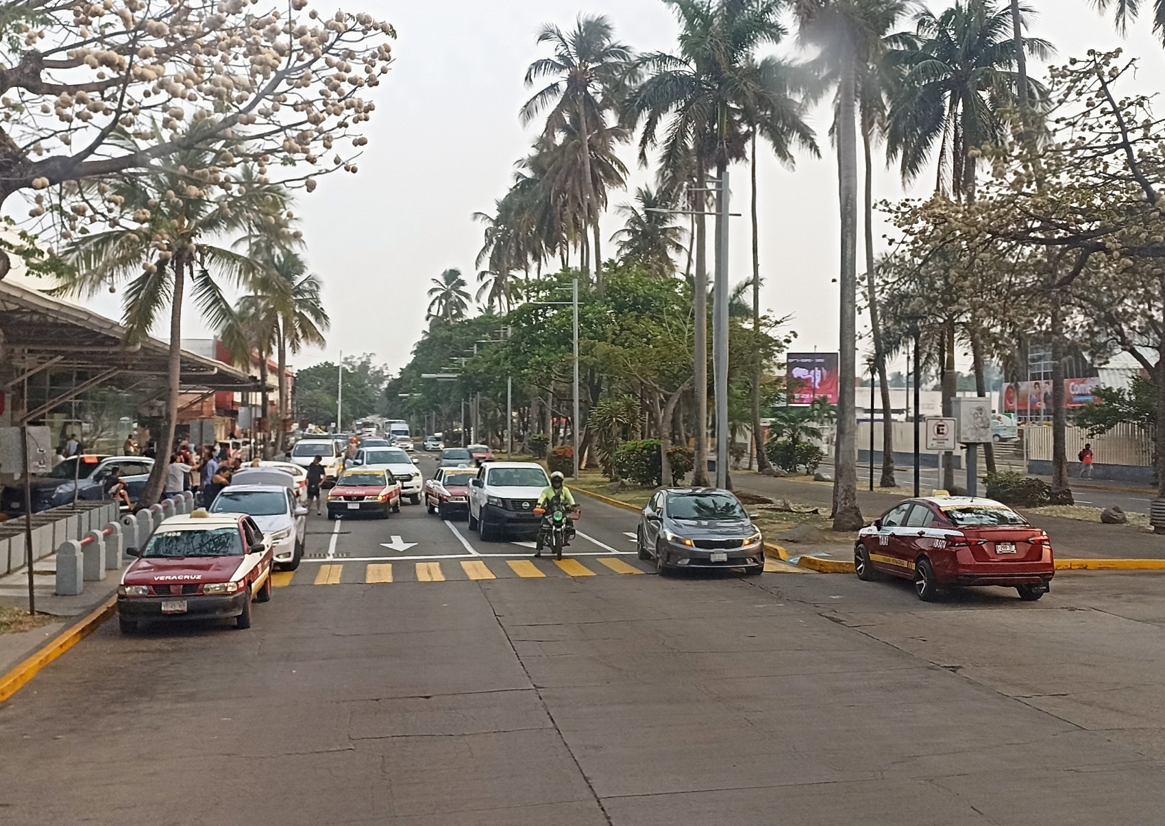 Se mantendrán operativos para reducir los accidentes vehiculares en la ciudad de Veracruz