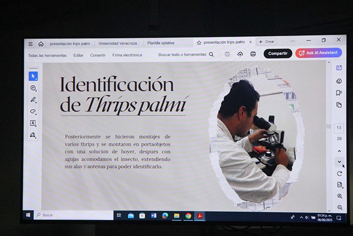 Alumnos identifican plaga que afecta cultivos de sandía en Piedras Negras, Veracruz