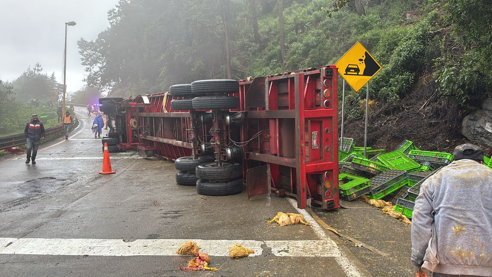 Tráiler cargado con pollo vuelca en las cumbres de Maltrata, locales y automovilistas vacían la carga