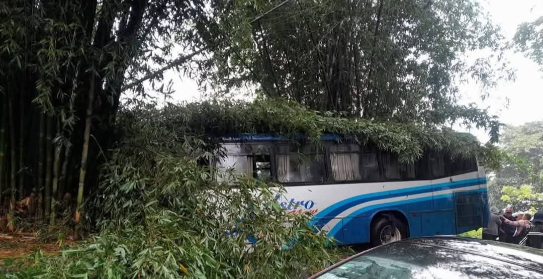 Autobús de pasajeros estuvo a punto de caer a un barranco en la carretera Fortín-Conejos