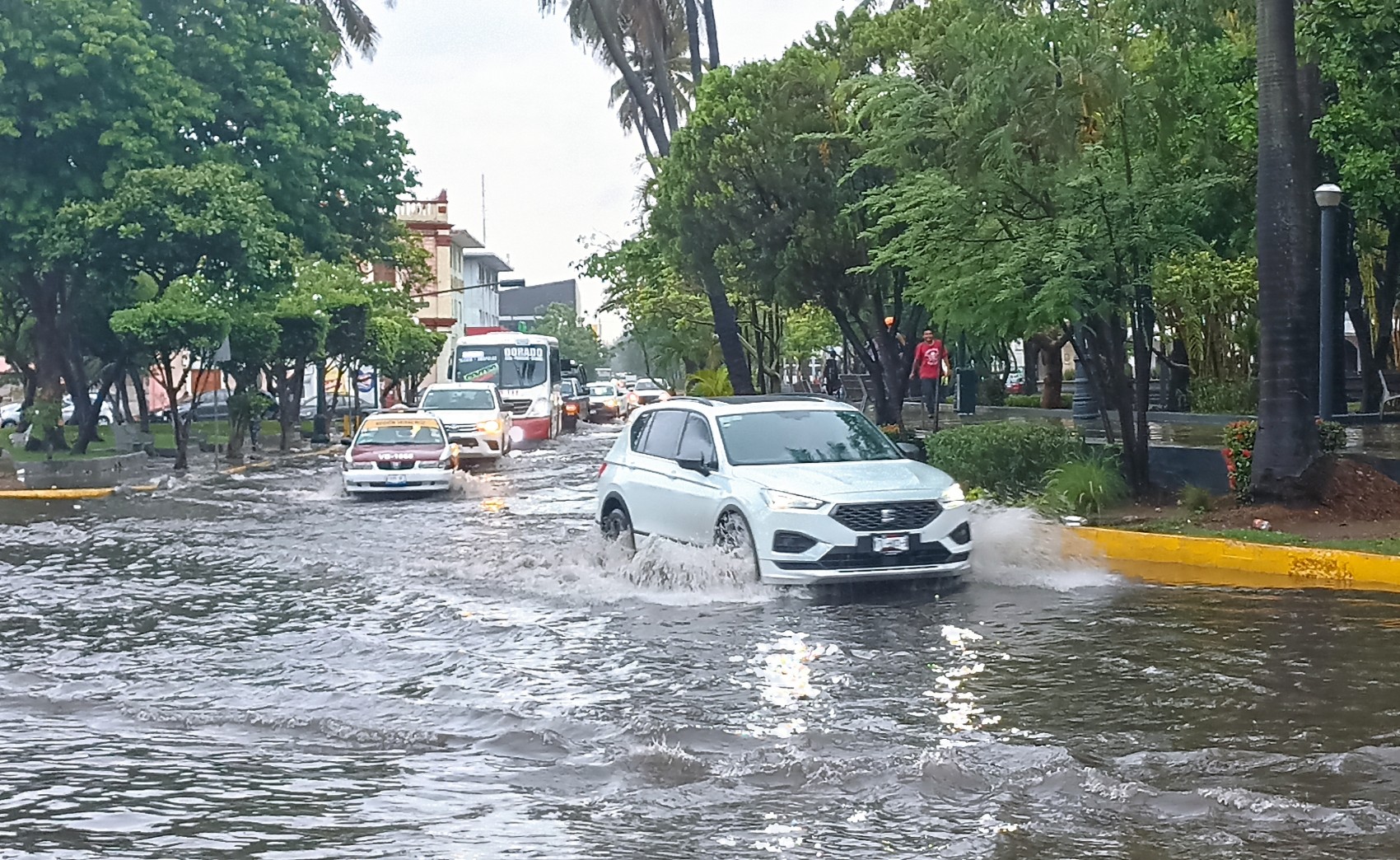 Lluvia intensa provoca encharcamientos mayores en Veracruz puerto: PC