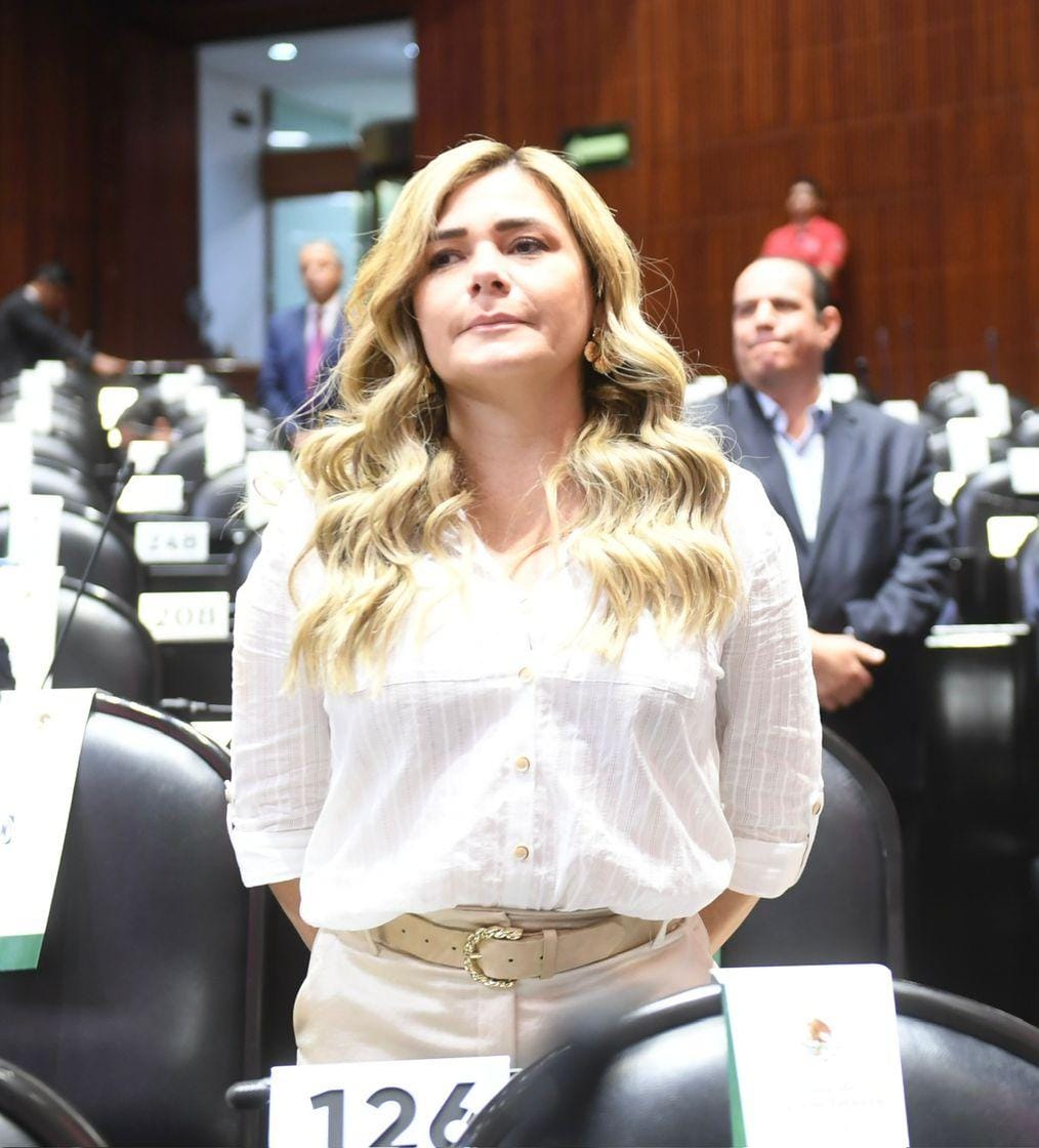 Busca Morena convertir al Estado mexicano en un Estado militar-policiaco-represor: Maryjose Gamboa
