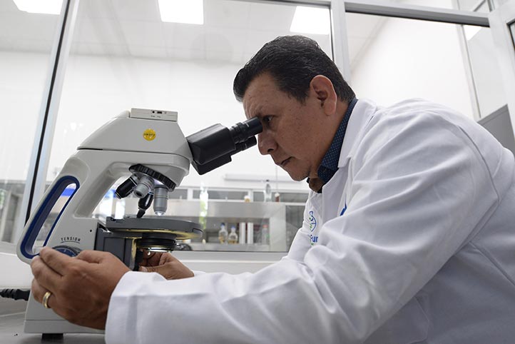 Investigadores UV buscan derivados de hongos marinos para tratar candidiasis