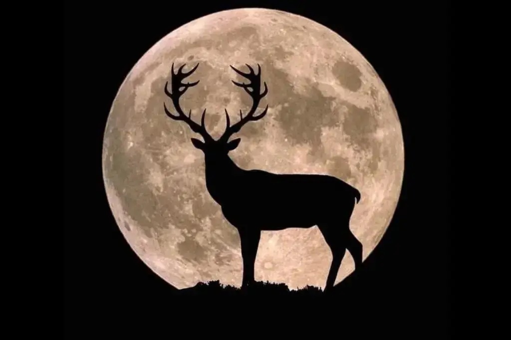 Luna de Ciervo y lluvias de meteoros: así será el cielo nocturno en julio