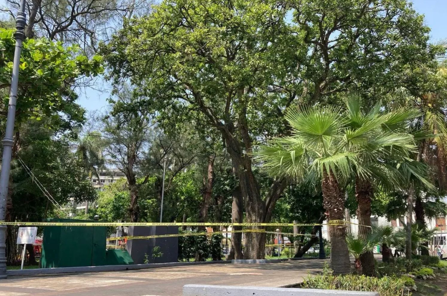 Ataque de abejas en parque Zamora de Veracruz deja cuatro personas lesionadas