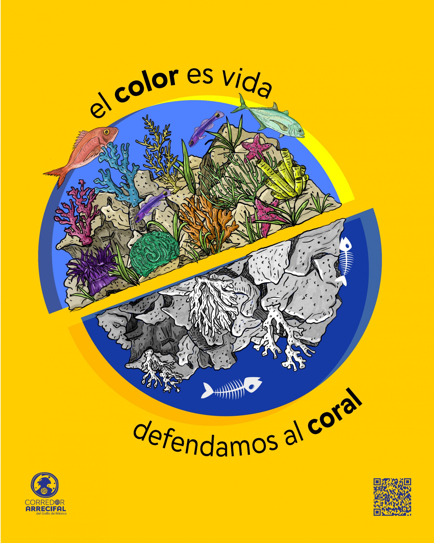 El Color es Vida, la campaña que alerta sobre el colapso de los arrecifes en el Golfo de México