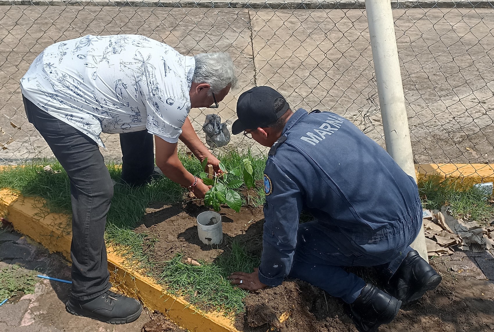 Reforestan el estacionamiento de la Torre de Pemex de Veracruz