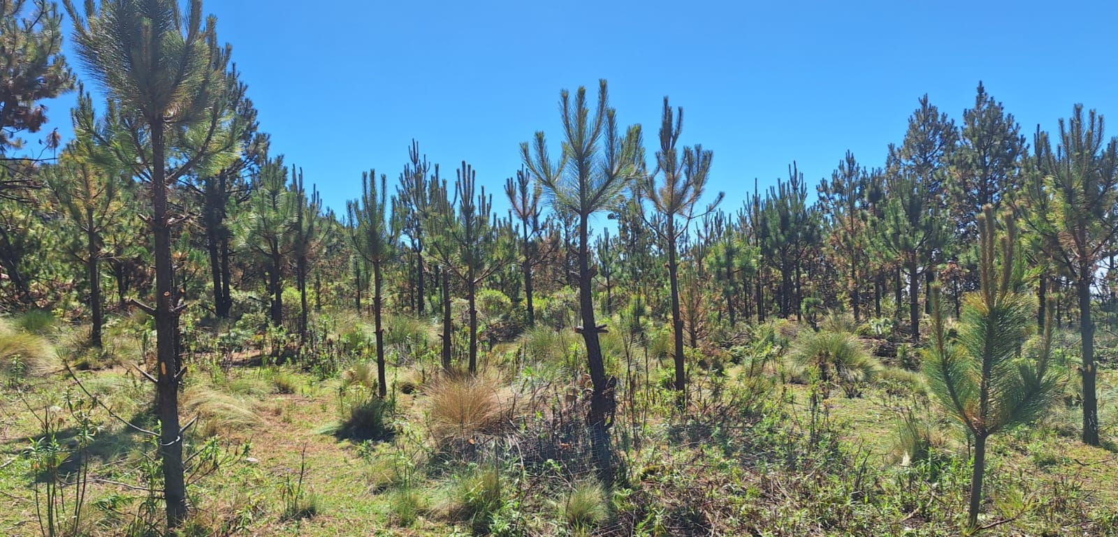 Acceso al agua debe dejar de ser preocupación y convertirse en prioridad: SEDEMA