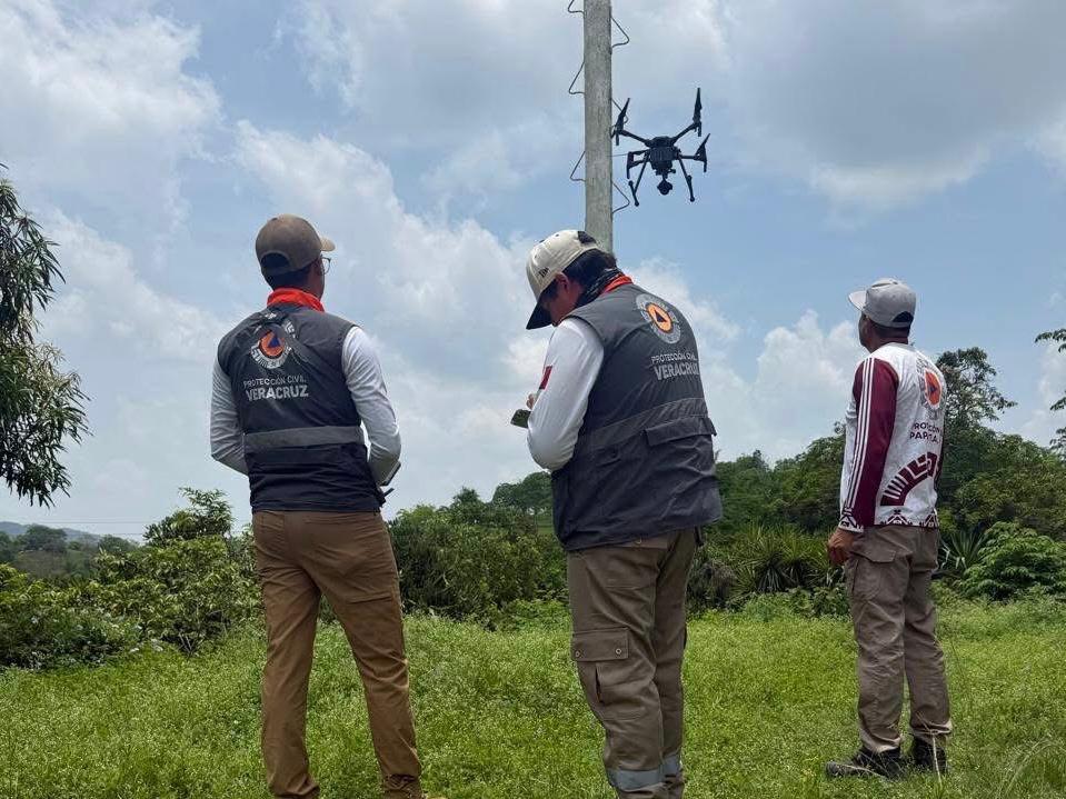 Revisan condiciones de palos para ritual de los voladores en Papantla