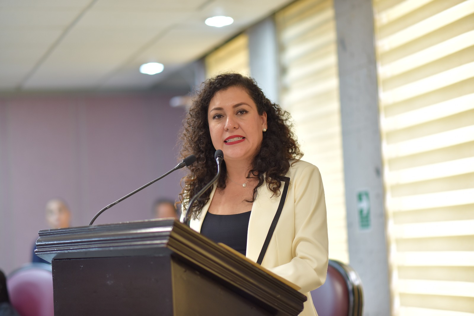 Plantea diputada otorgar estímulos fiscales por uso de energías limpias
