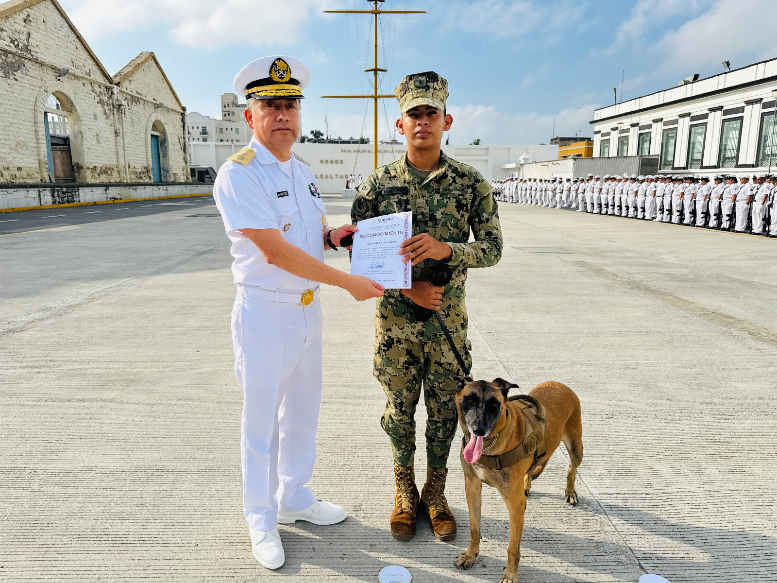 Entregan reconocimiento a elemento canino tras causar baja del servicio activo de la Armada de México