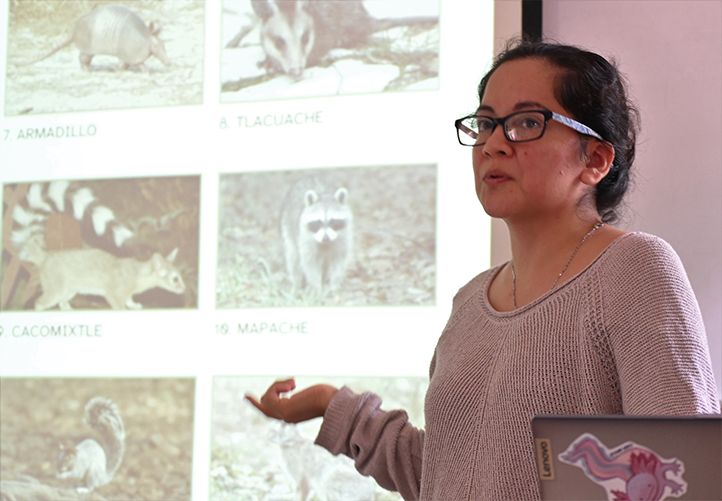 Especies animales se adaptan a vivir en espacios verdes alterados en la zona conurbada de Xalapa