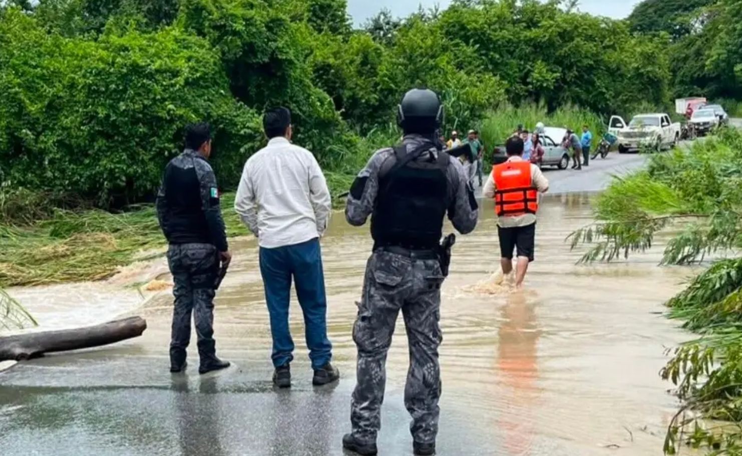 Lluvias dejan pérdidas millonarias en San Juan Evangelista: 300 reses arrastradas, caminos y puentes dañados