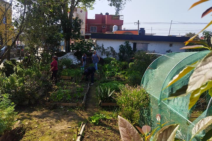 UV impulsa salud y saberes en huertos comunitarios de Xalapa