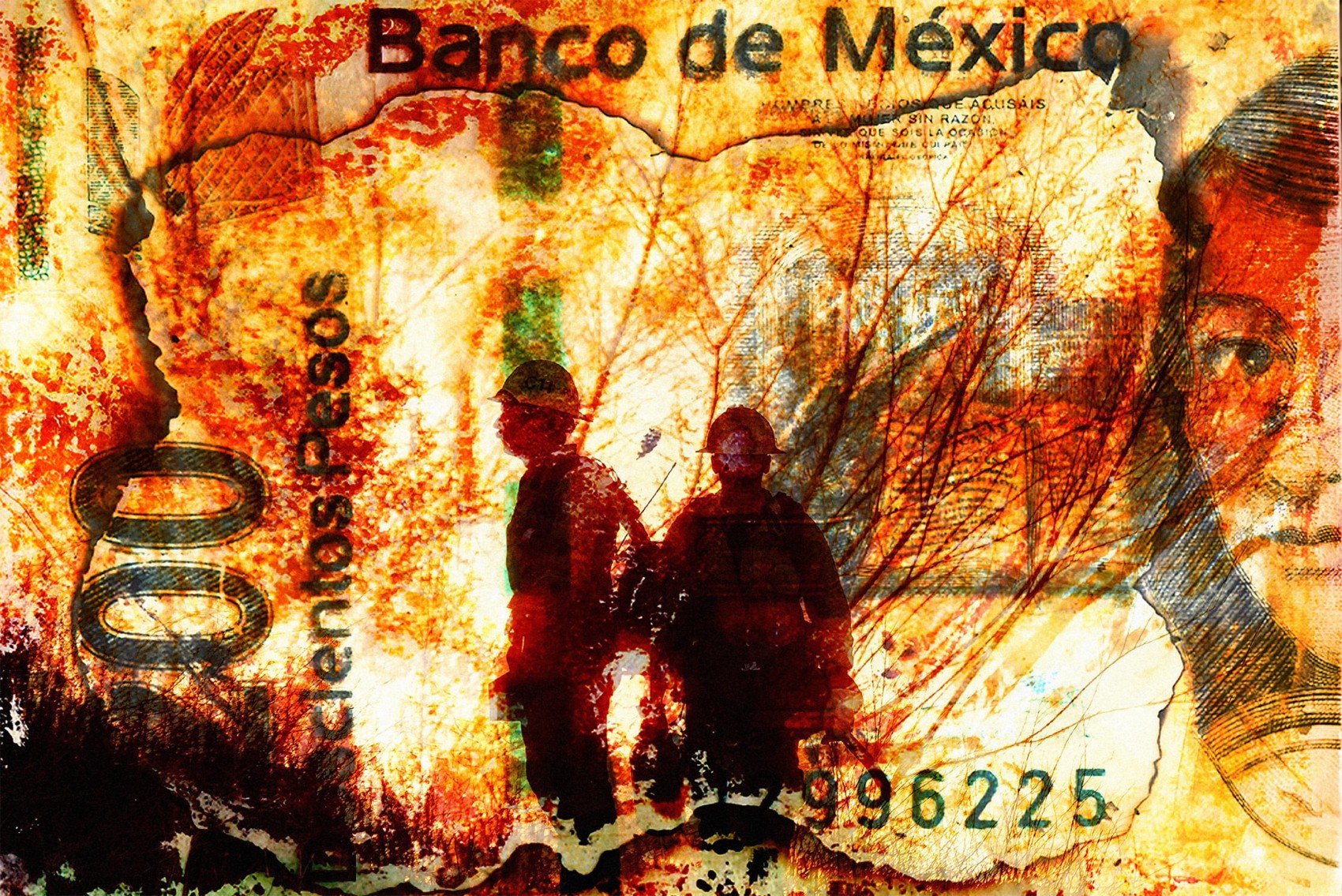 Incendios forestales en Veracruz afectan más de mil hectáreas de bosques y selvas