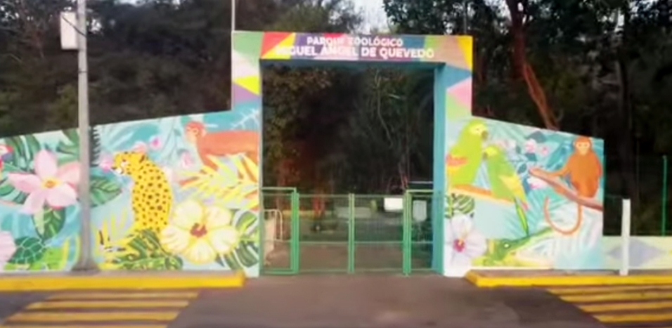 Denuncian el robo de un cocodrilo en el zoológico de Veracruz