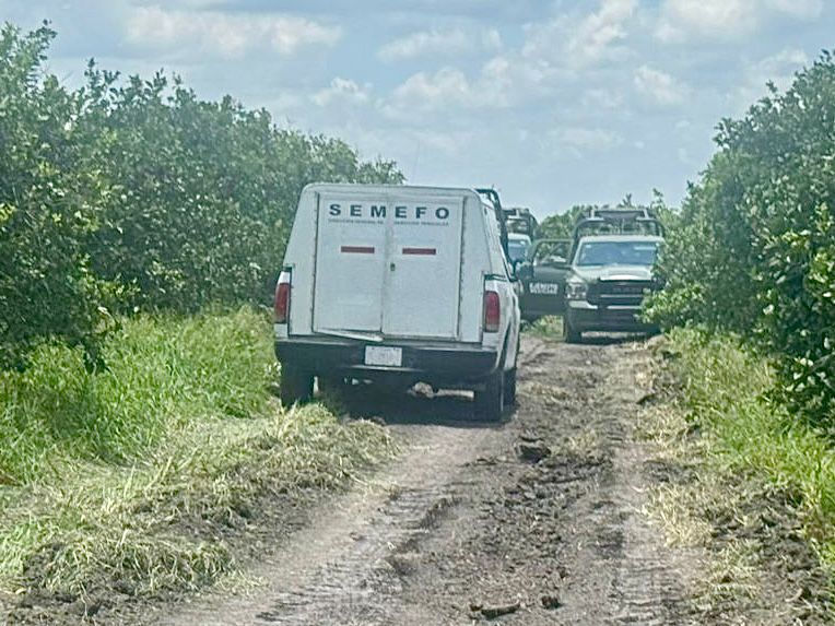 Hallan fosa clandestina en Álamo-Cerro Azul, donde apareció Irma Hernández