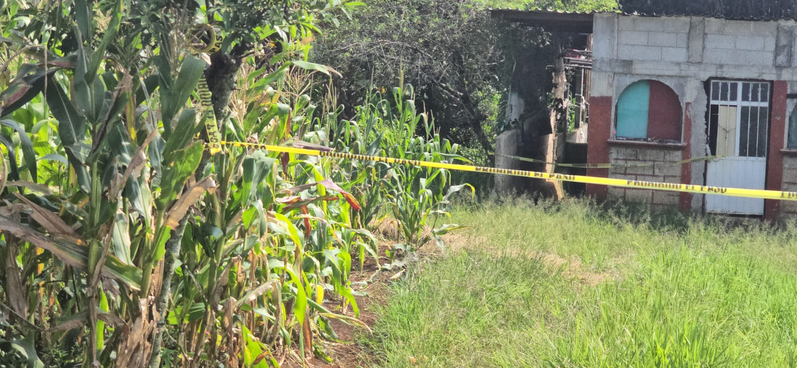 Hallan a hombre sin vida en Monte Salas, municipio de Fortín de las Flores