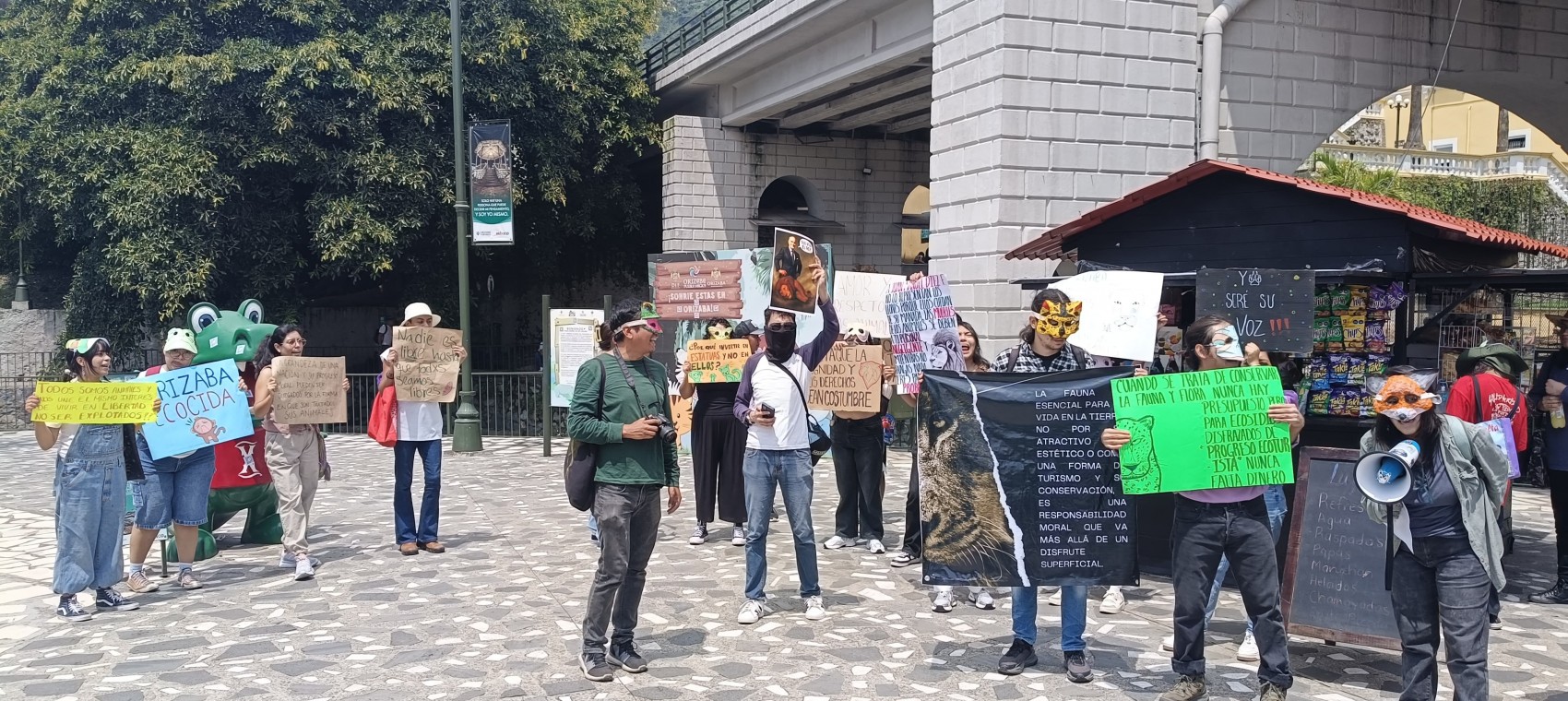Marcha en Orizaba tras muerte de león en la UMA: exigen dignidad animal