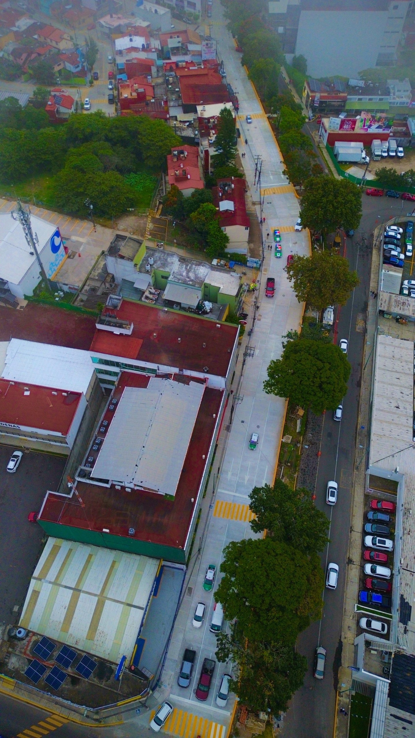 Reabren la avenida Araucarias en Xalapa: ya hay tránsito de Las Ánimas a Lázaro Cárdenas