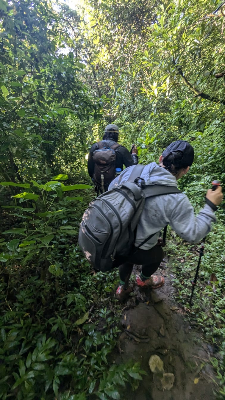 Rescatan a dos jóvenes extraviados en un cerro ubicado límites de Orizaba y Río Blanco